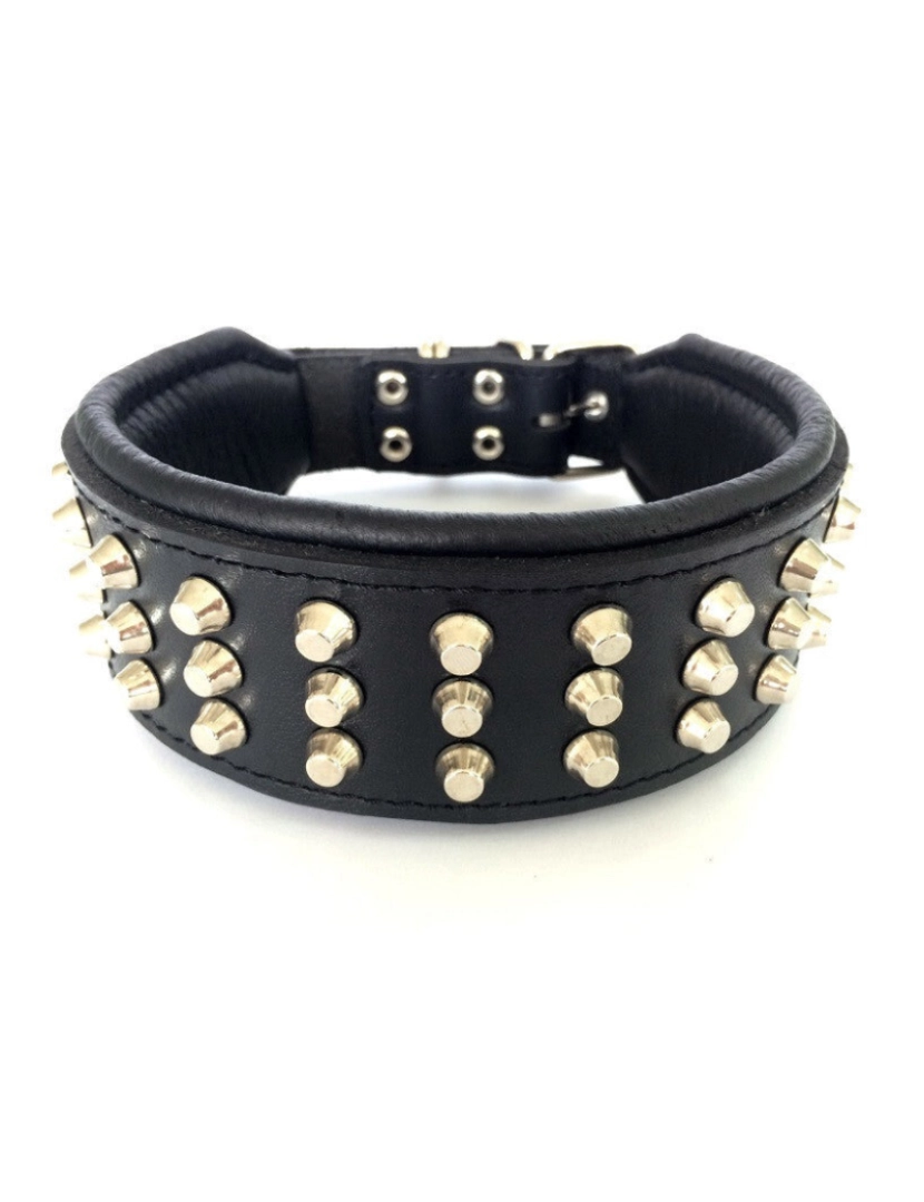 imagem de The Stud Dog Collar Preto & Preto4