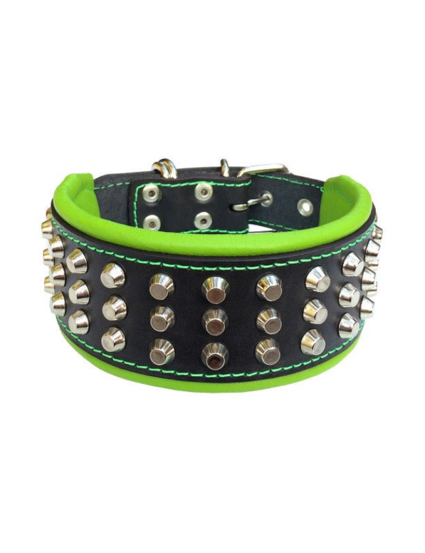 imagem de The Stud Dog Collar Preto & Preto5