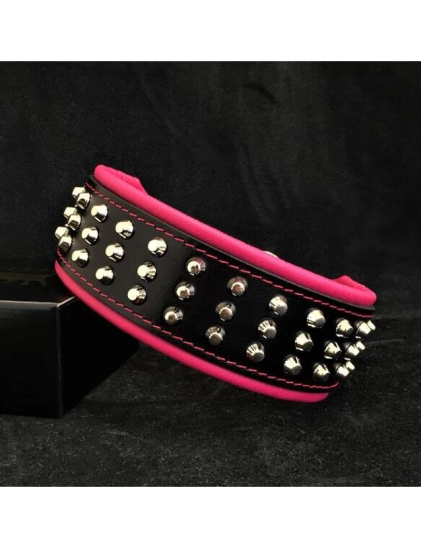 Bestia Custom Dog Gear - O colar de cão Stud preto e rosa