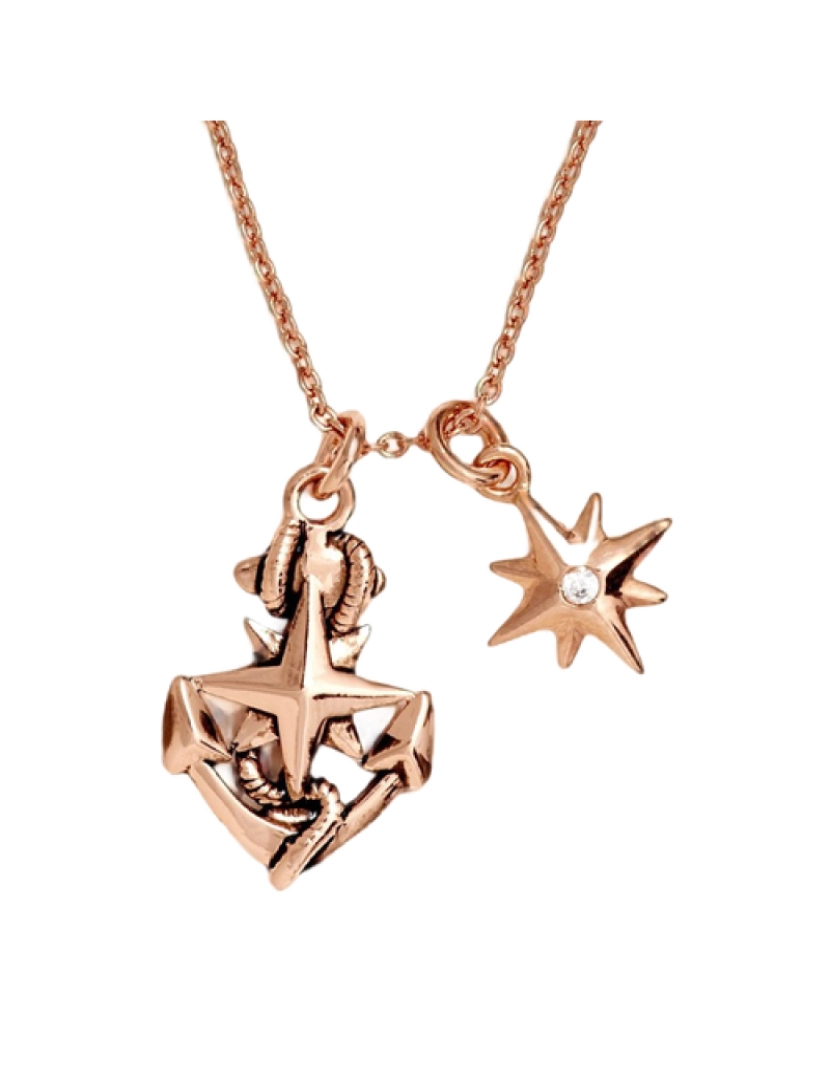 imagem de Colar Chrysalis  North Star - Rose Gold- Com Caixa ou Saco Oferta4