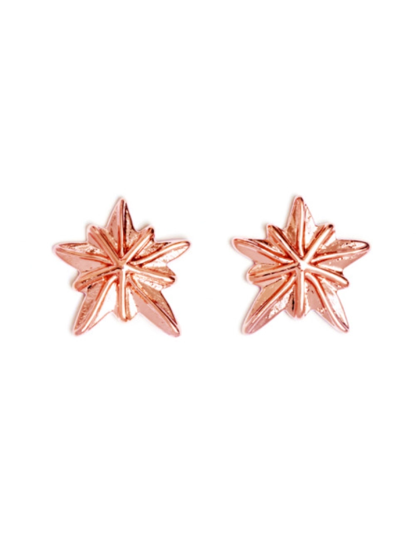 imagem de Brincos Chrysalis  Sand Dollar - Rose Gold - Com Caixa ou Saco Oferta3