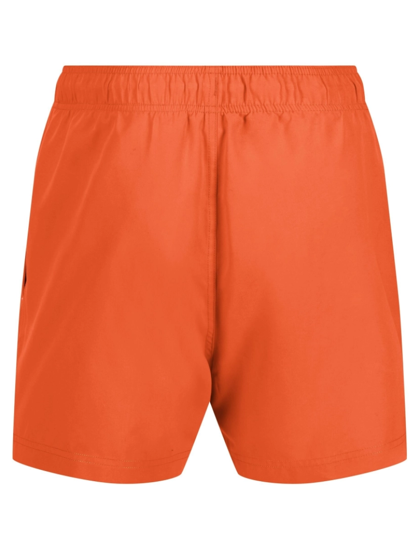 imagem de Regatta Mens Mawson Ii Swim Shorts2