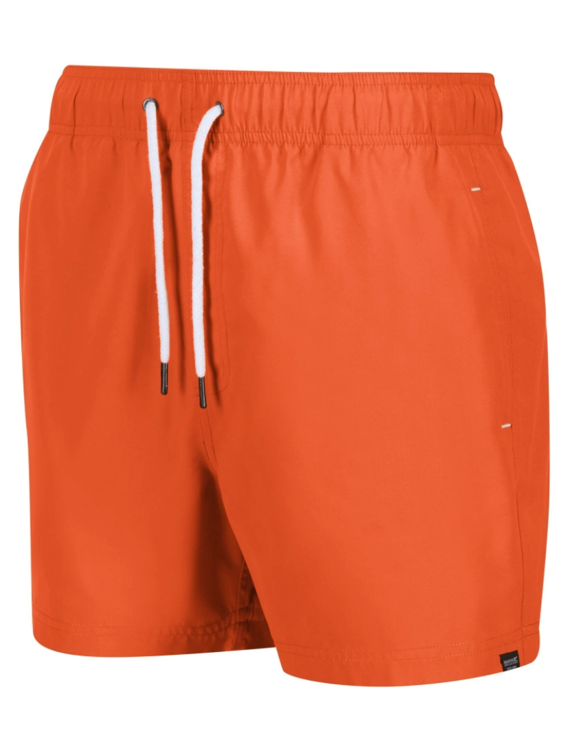 imagem de Regatta Mens Mawson Ii Swim Shorts3