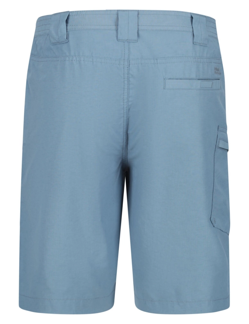 imagem de Regatta Mens Delgado Shorts3