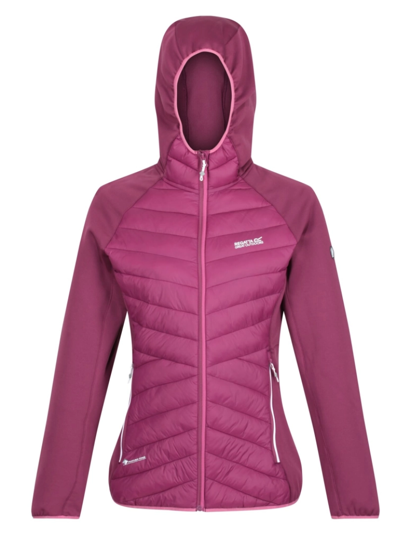 imagem de Regatta Womens/Ladies Andreson Vii Hybrid Jacket1