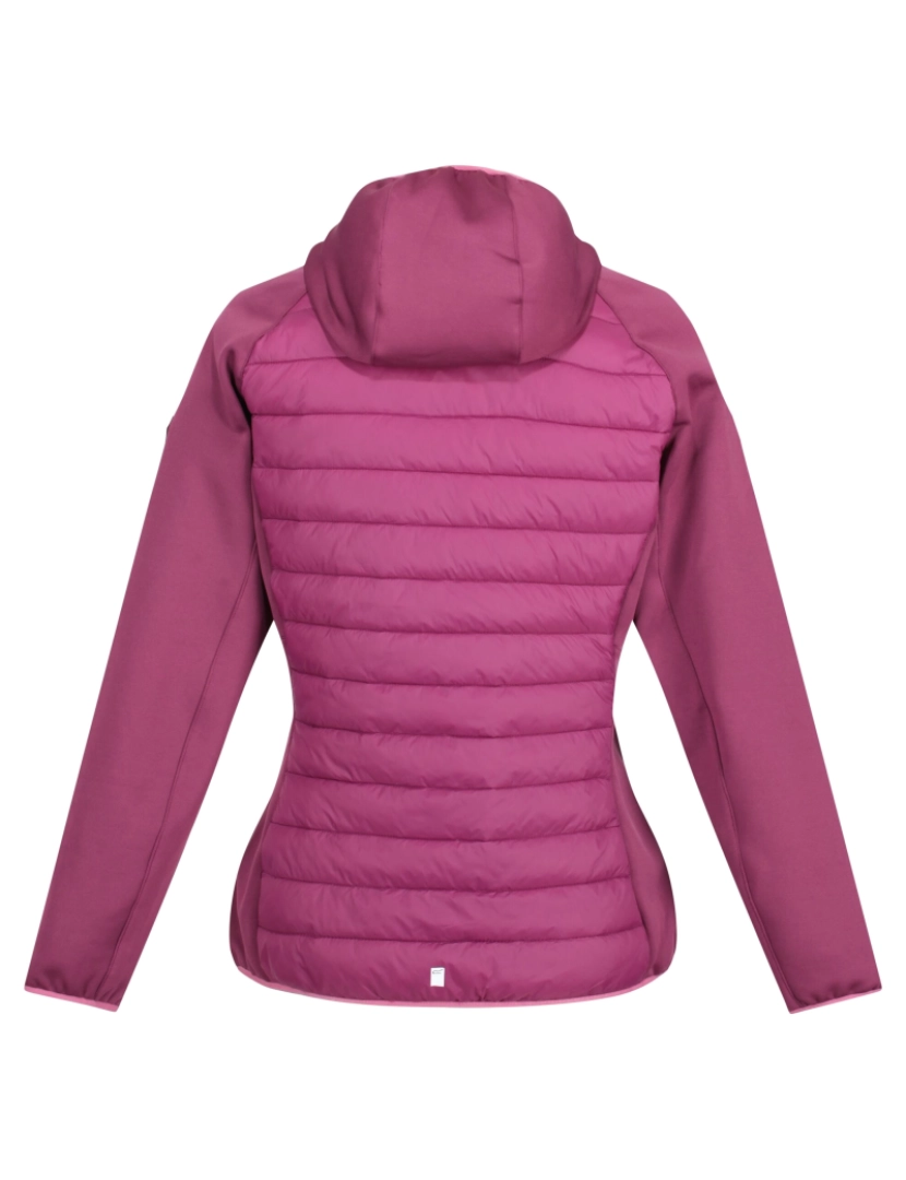 imagem de Regatta Womens/Ladies Andreson Vii Hybrid Jacket2