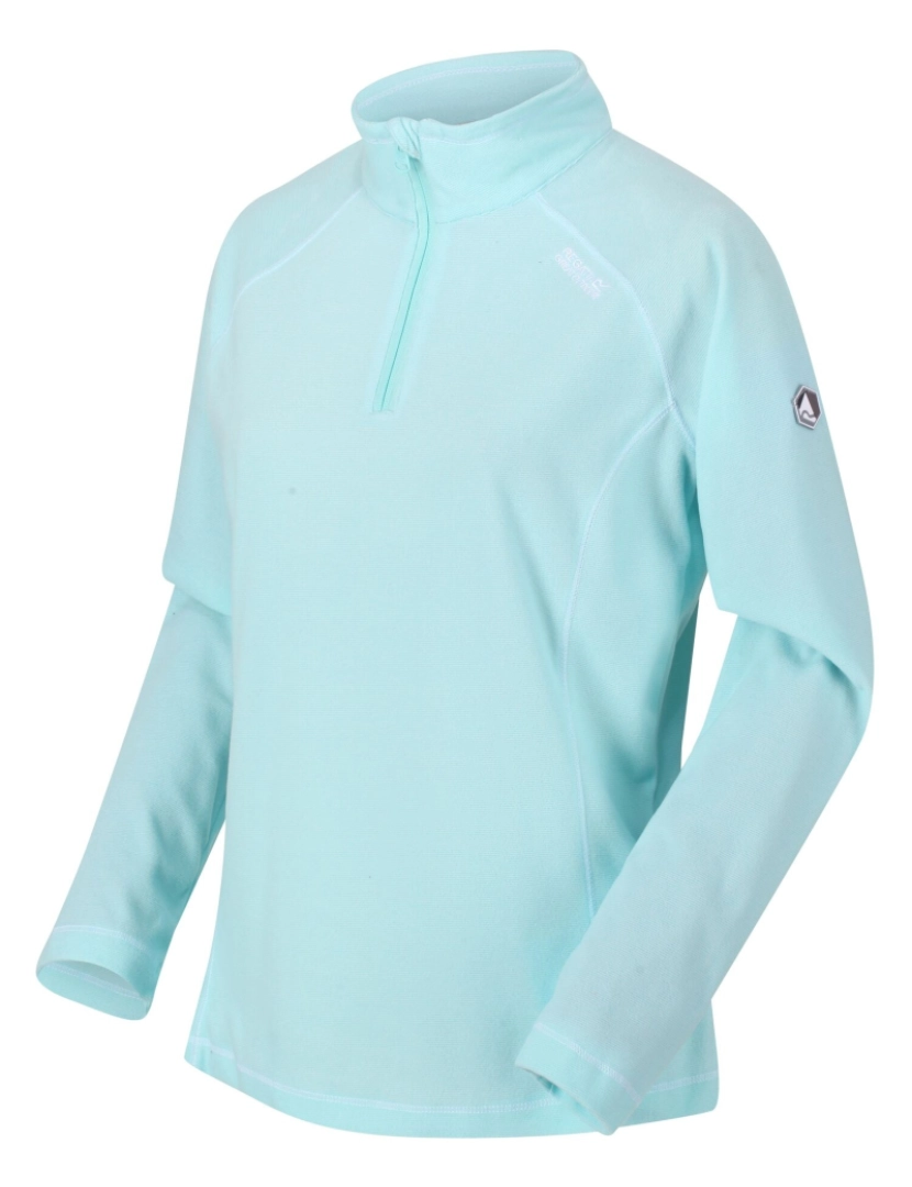 imagem de Regatta Great Outdoors Womens/Ladies Montes Half Zip Fleece Top3