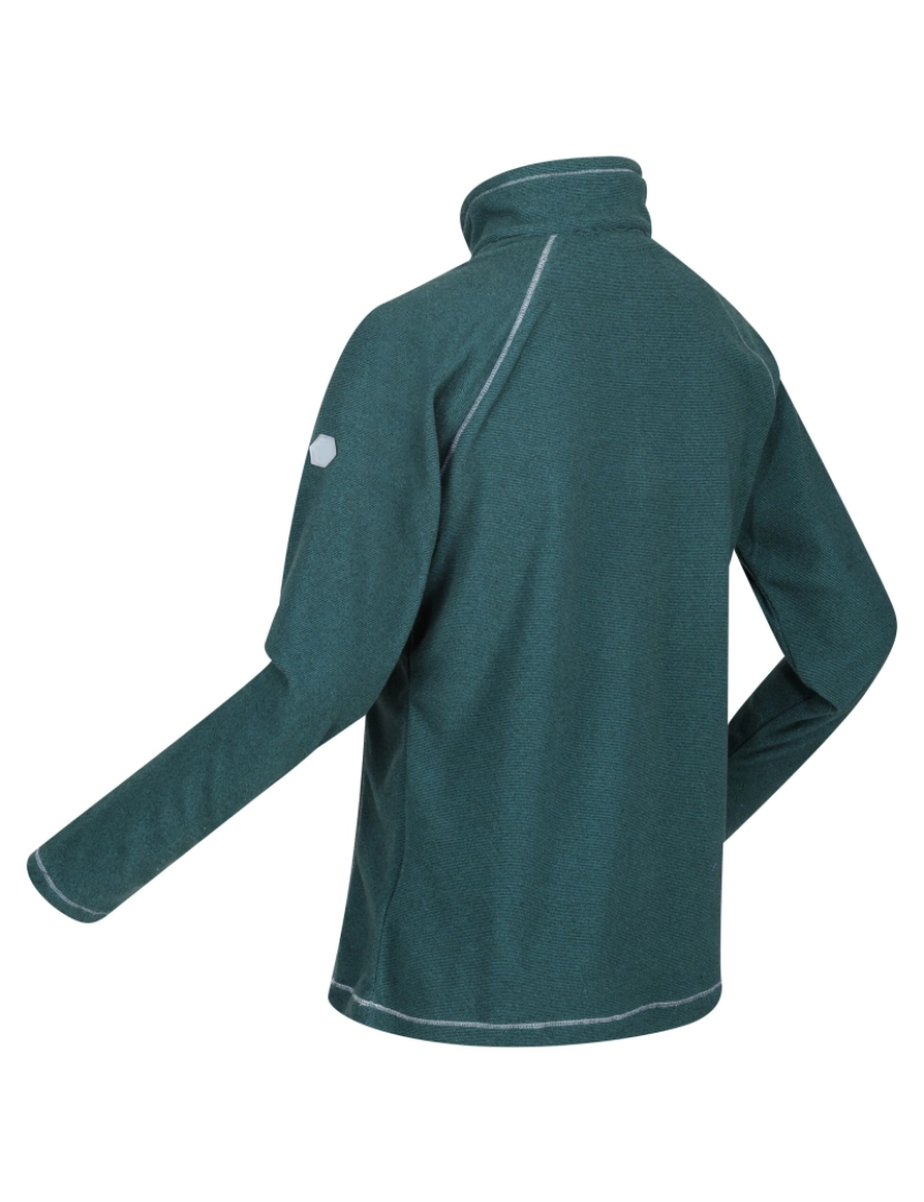 imagem de Regatta Great Outdoors Womens/Ladies Montes Half Zip Fleece Top4