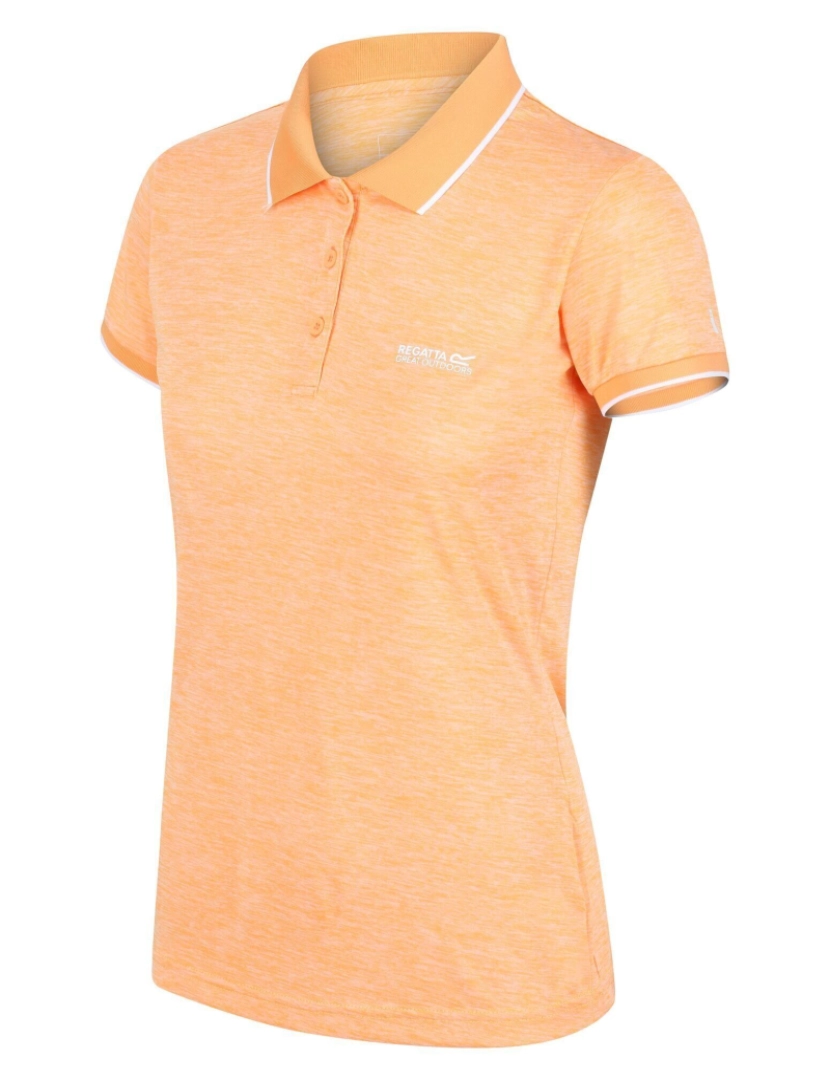 imagem de Regatta Womens/Ladies Remex Ii Polo Neck T-shirt3