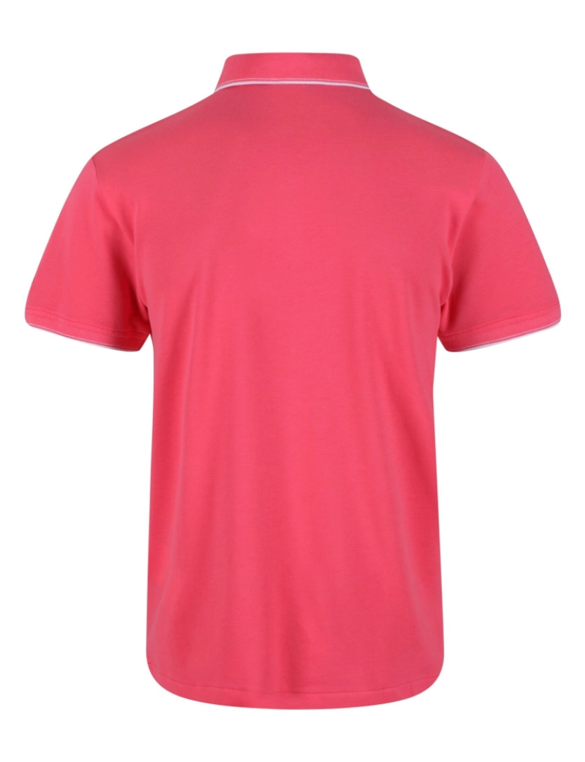 imagem de Regatta Mens Tadeo Polo camisa2