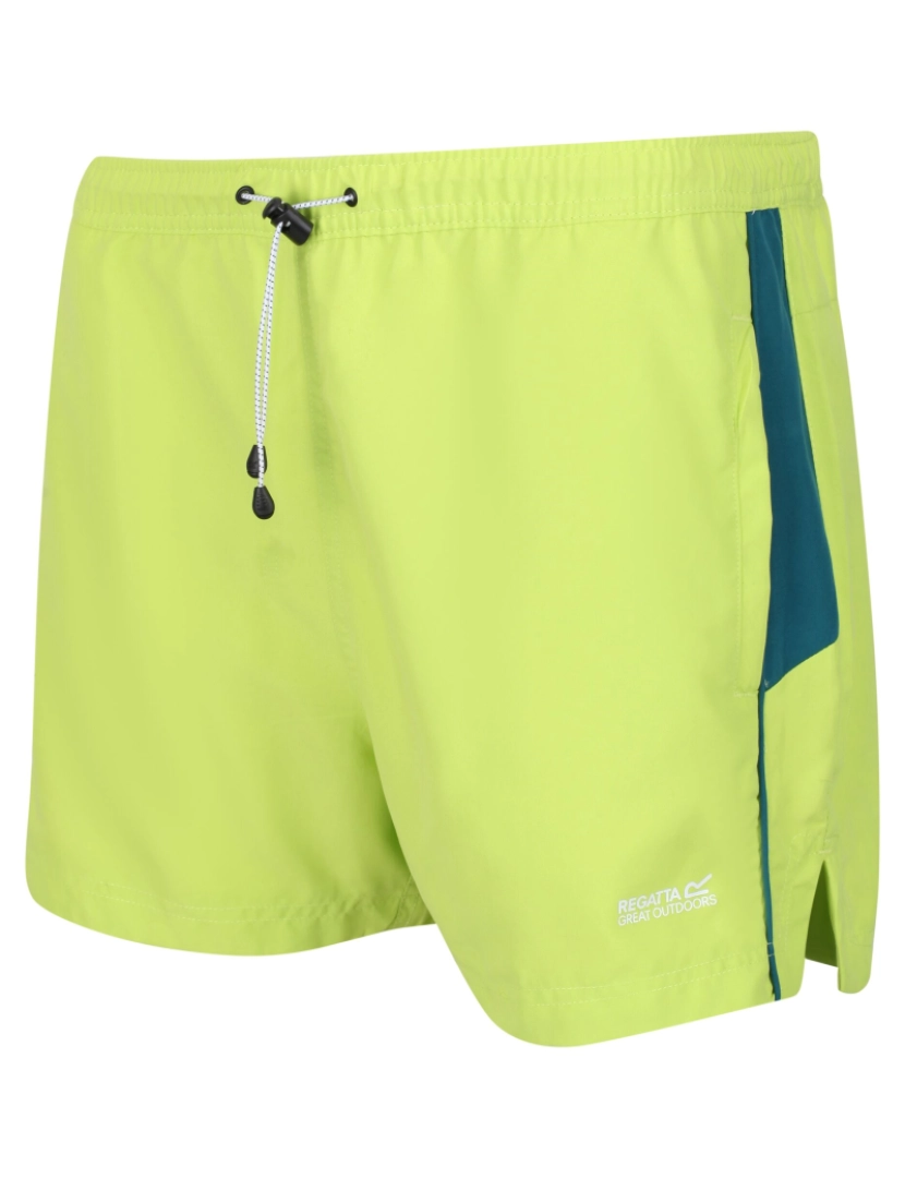 imagem de Regatta Mens Rehere Shorts4