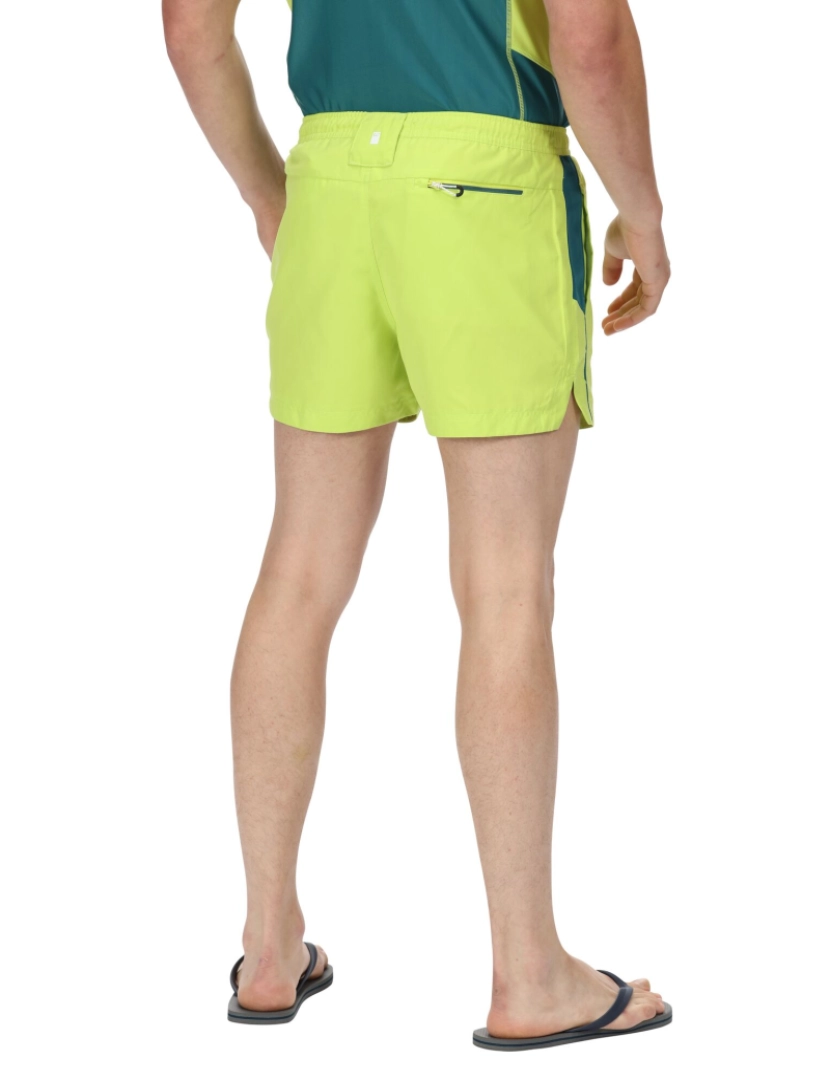 imagem de Regatta Mens Rehere Shorts6