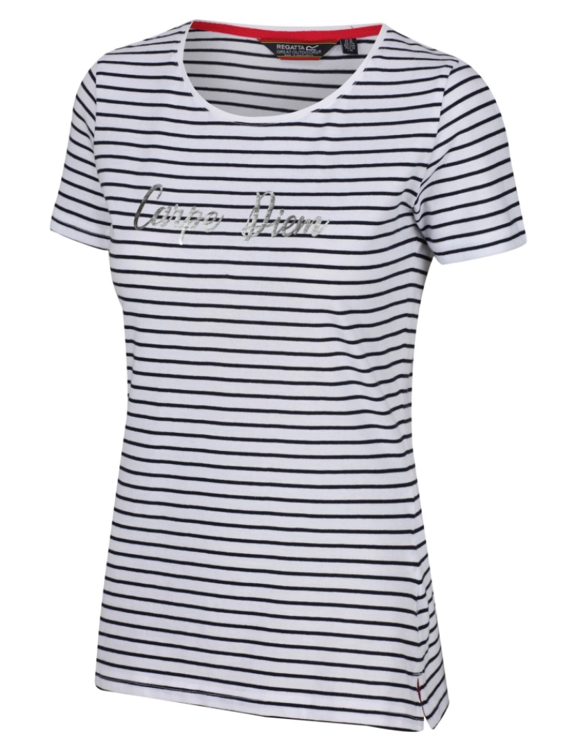 imagem de Regatta Womens/Ladies Olwyn Striped Carpe Diem T-shirt1