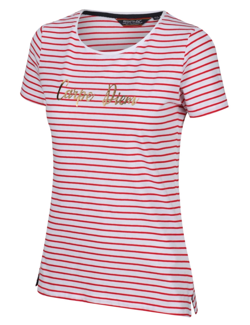 imagem de Regatta Womens/Ladies Olwyn Striped Carpe Diem T-shirt1