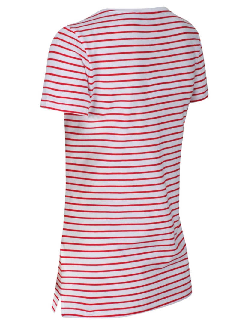 imagem de Regatta Womens/Ladies Olwyn Striped Carpe Diem T-shirt2