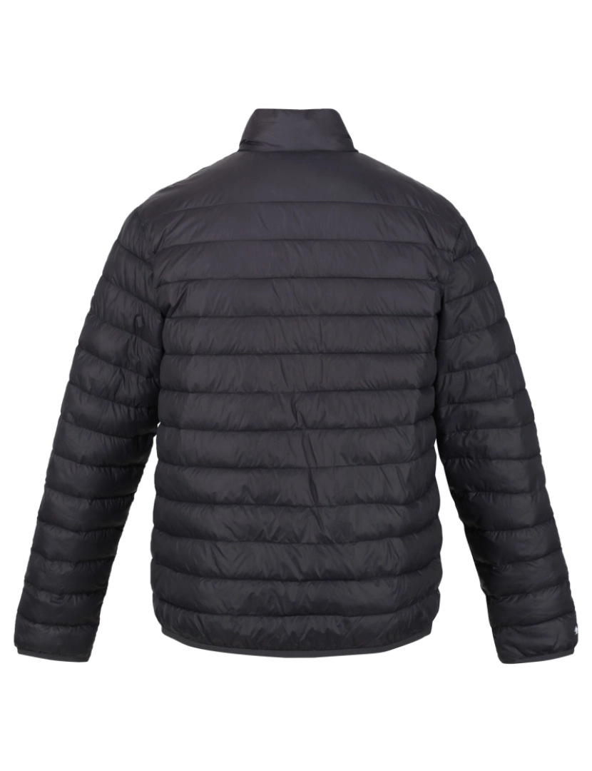 imagem de Regatta Mens Hillpack Quilted casaco isolado2