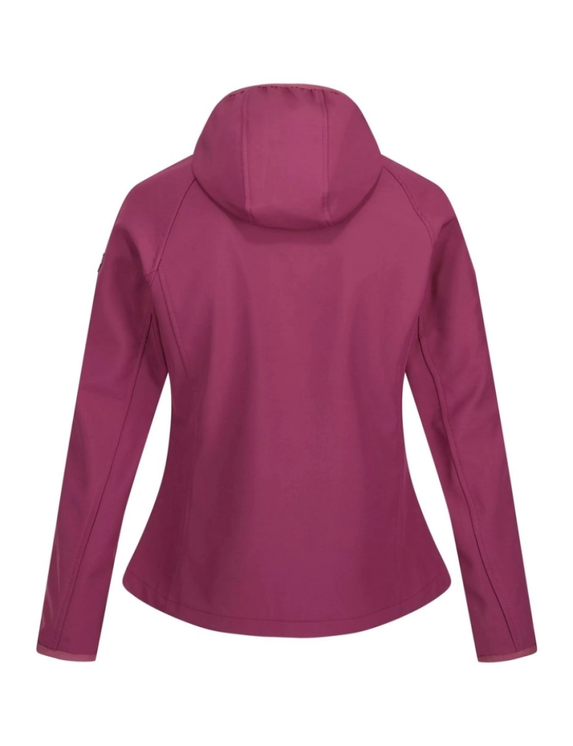 imagem de Regatta Womens/Ladies Ared Iii Soft Shell Jacket2