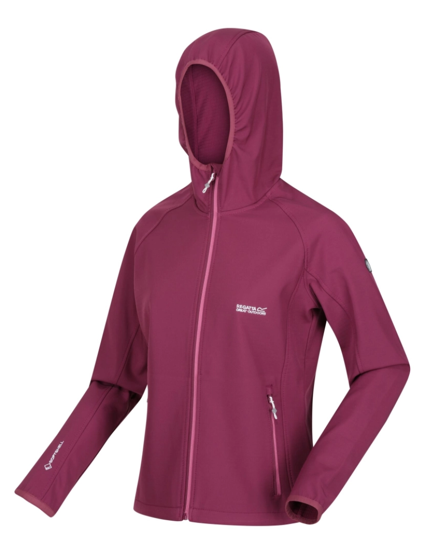 imagem de Regatta Womens/Ladies Ared Iii Soft Shell Jacket3