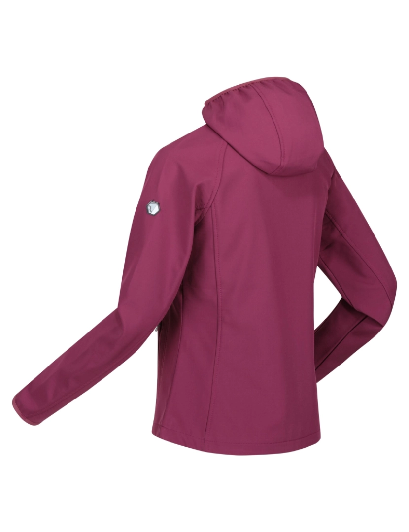 imagem de Regatta Womens/Ladies Ared Iii Soft Shell Jacket4