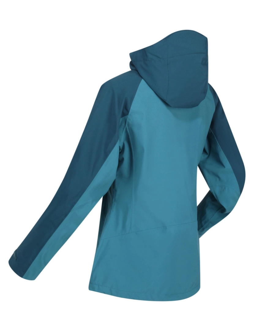 imagem de Regatta Womens/Ladies Birchdale impermeável Shell Jacket3