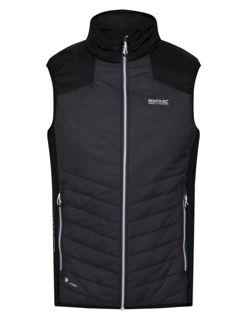 imagem de Regatta Mens Halton Vi Lightweight Body Warmer1