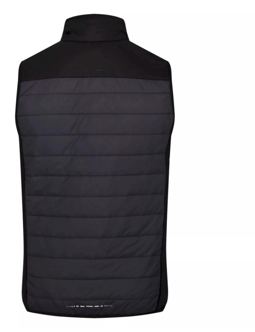 imagem de Regatta Mens Halton Vi Lightweight Body Warmer2