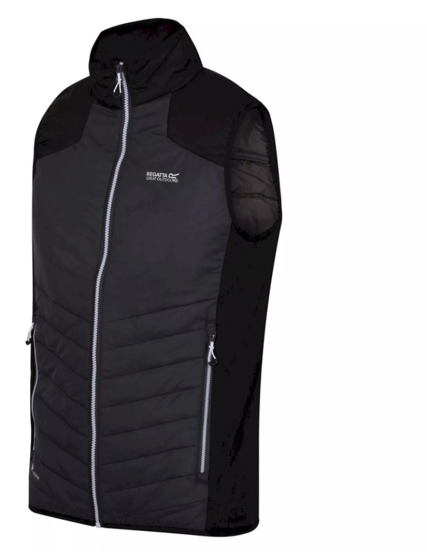 imagem de Regatta Mens Halton Vi Lightweight Body Warmer3