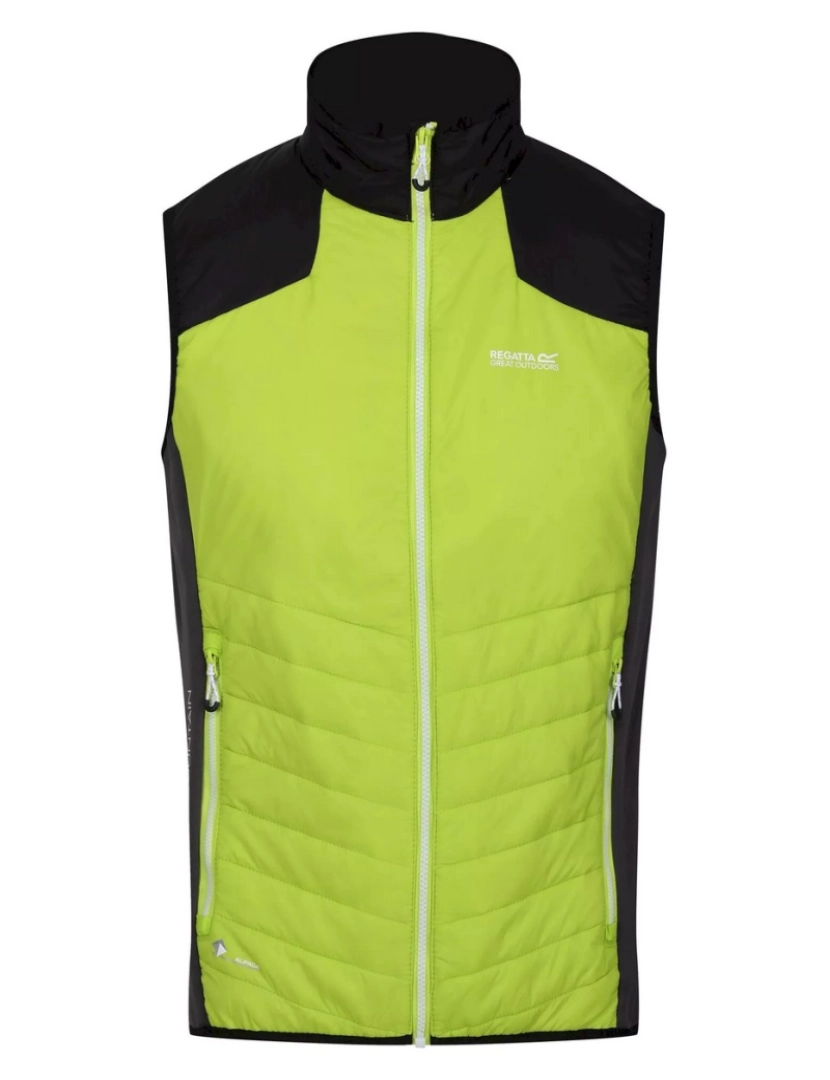 imagem de Regatta Mens Halton Vi Lightweight Body Warmer1