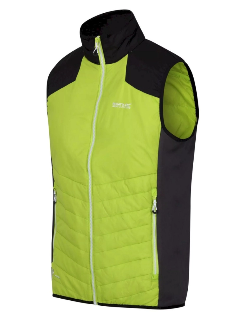 imagem de Regatta Mens Halton Vi Lightweight Body Warmer3