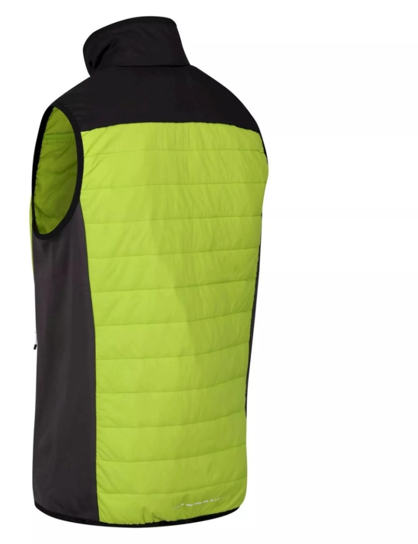 imagem de Regatta Mens Halton Vi Lightweight Body Warmer4