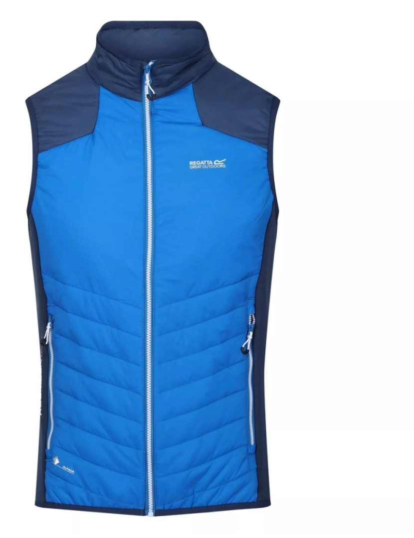 imagem de Regatta Mens Halton Vi Lightweight Body Warmer1