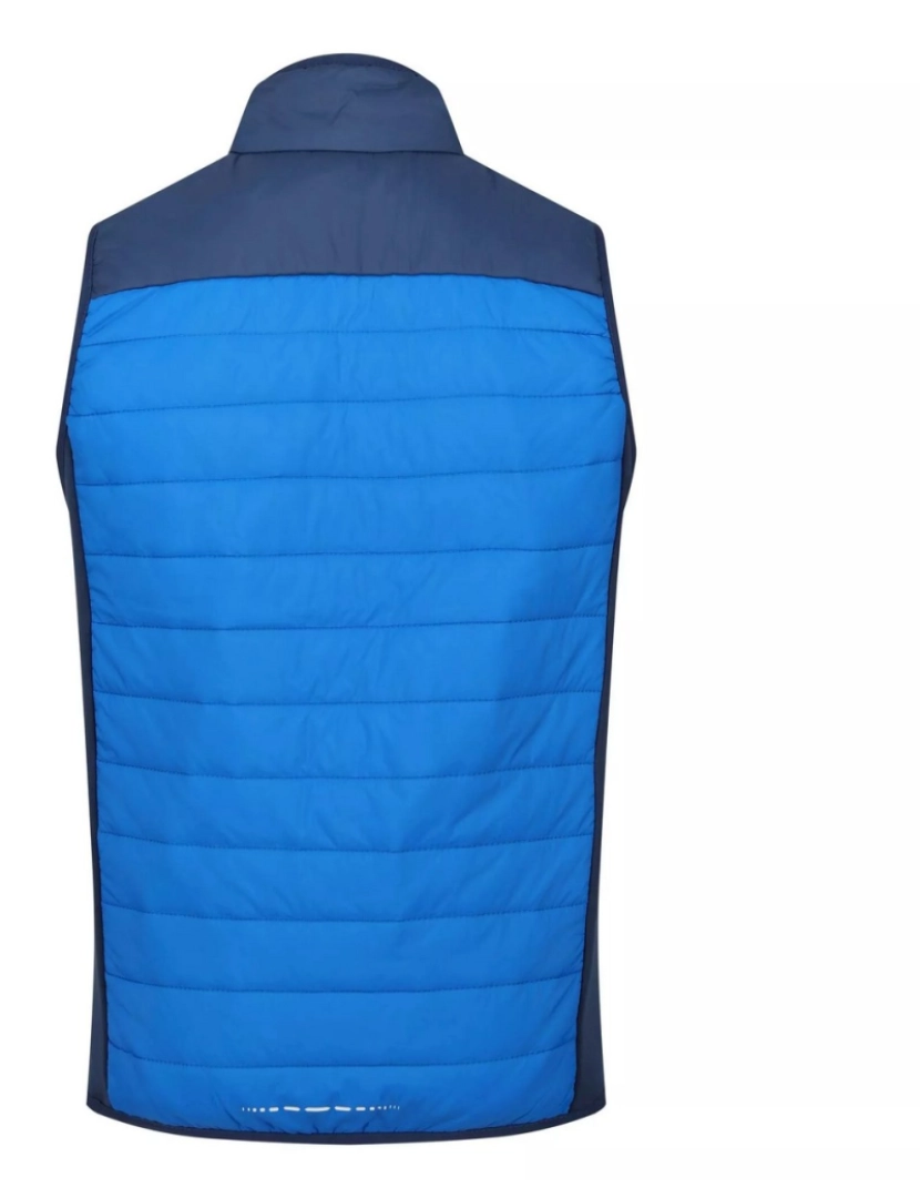 imagem de Regatta Mens Halton Vi Lightweight Body Warmer2