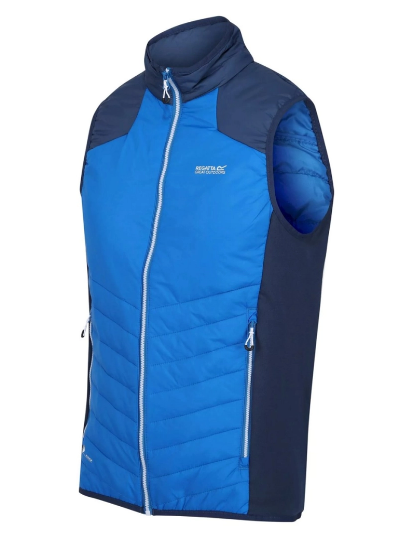 imagem de Regatta Mens Halton Vi Lightweight Body Warmer3