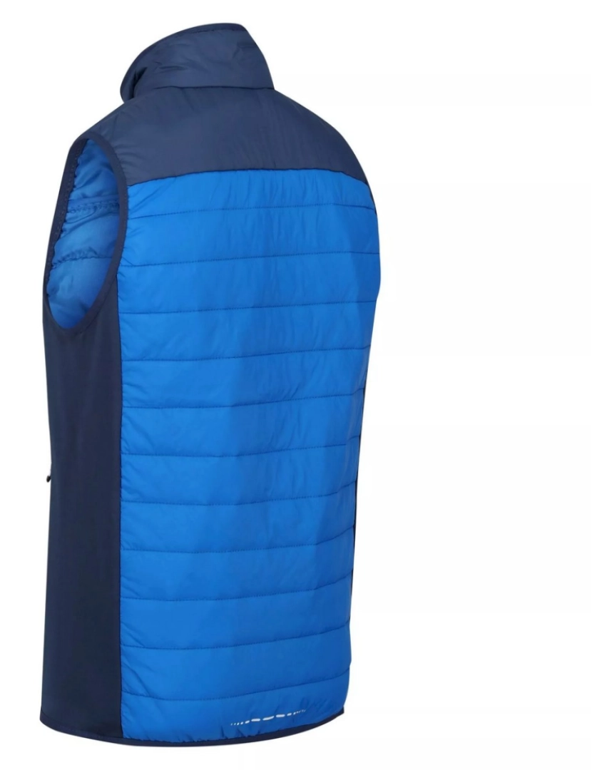 imagem de Regatta Mens Halton Vi Lightweight Body Warmer4