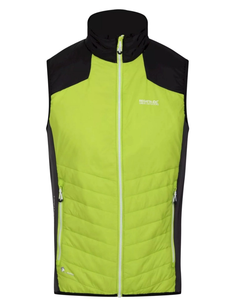 imagem de Regatta Mens Halton Vi Lightweight Body Warmer1