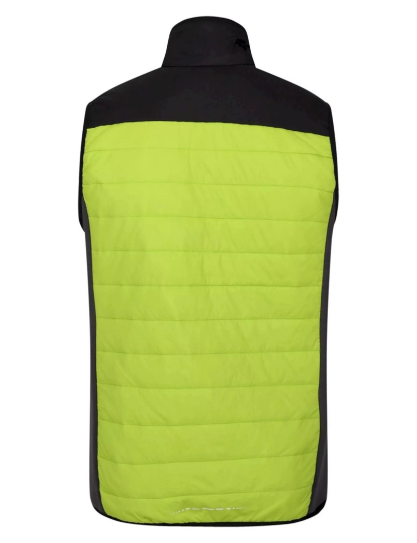 imagem de Regatta Mens Halton Vi Lightweight Body Warmer2