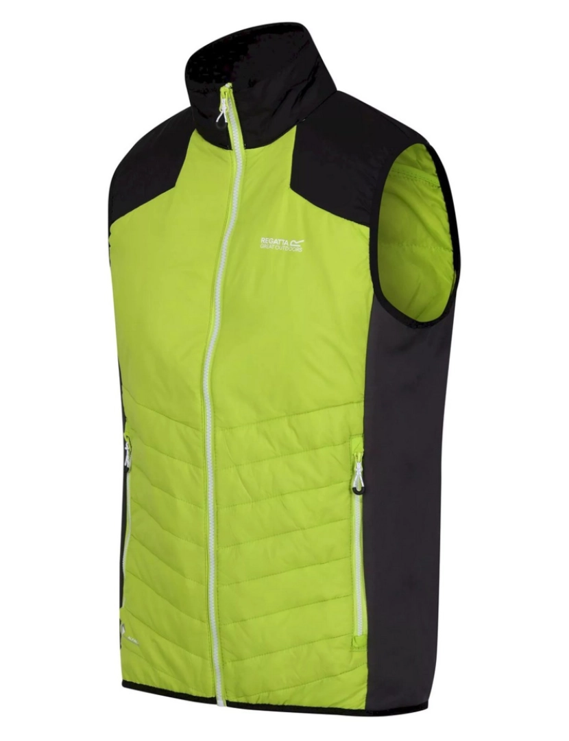 imagem de Regatta Mens Halton Vi Lightweight Body Warmer3