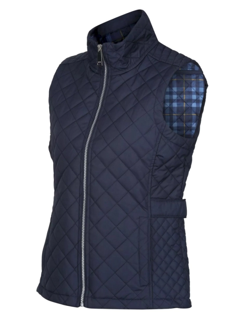 imagem de Regatta Womens/Ladies Charleigh Verificado Quilted Body Warmer3