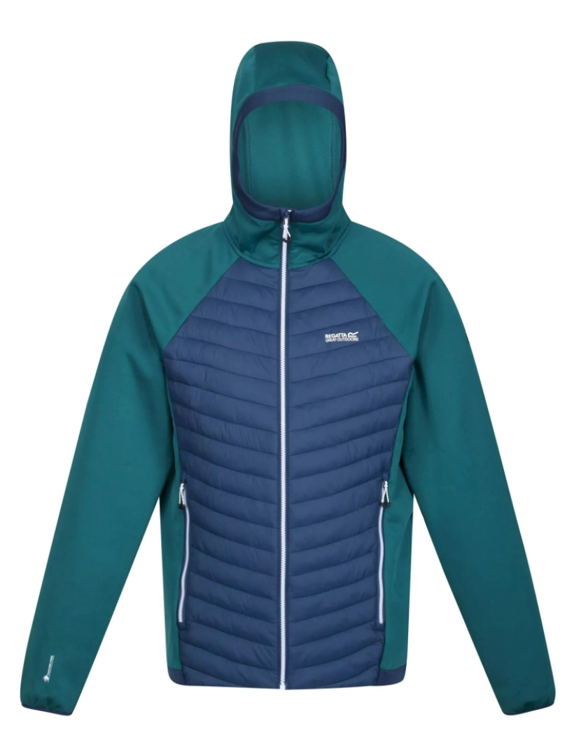 imagem de Regatta Mens Andreson Vii Hybrid Lightweight Jacket1