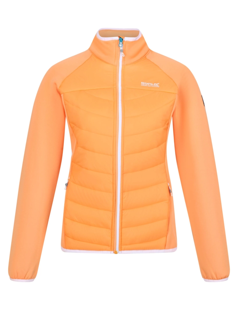 imagem de Regatta Womens/Ladies Clumber Ii Hybrid Casaco isolado1