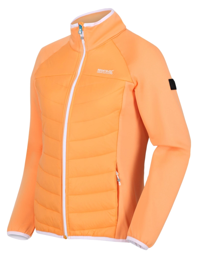 imagem de Regatta Womens/Ladies Clumber Ii Hybrid Casaco isolado4