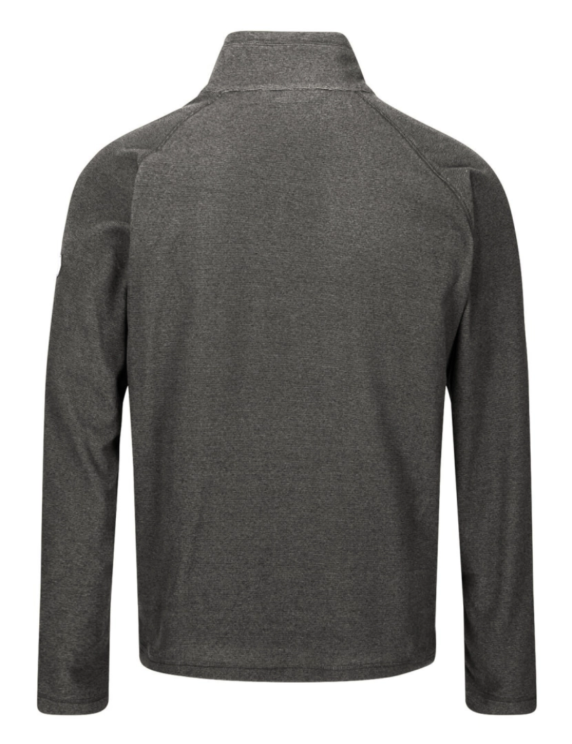 imagem de Regatta Great Outdoors Mens Montes Fleece Top2