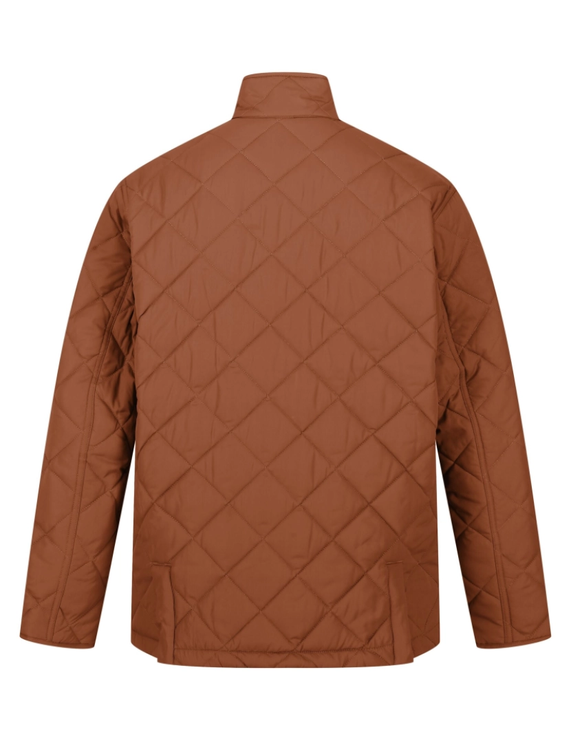 imagem de Regatta Mens Londyn Quilted casaco isolado2