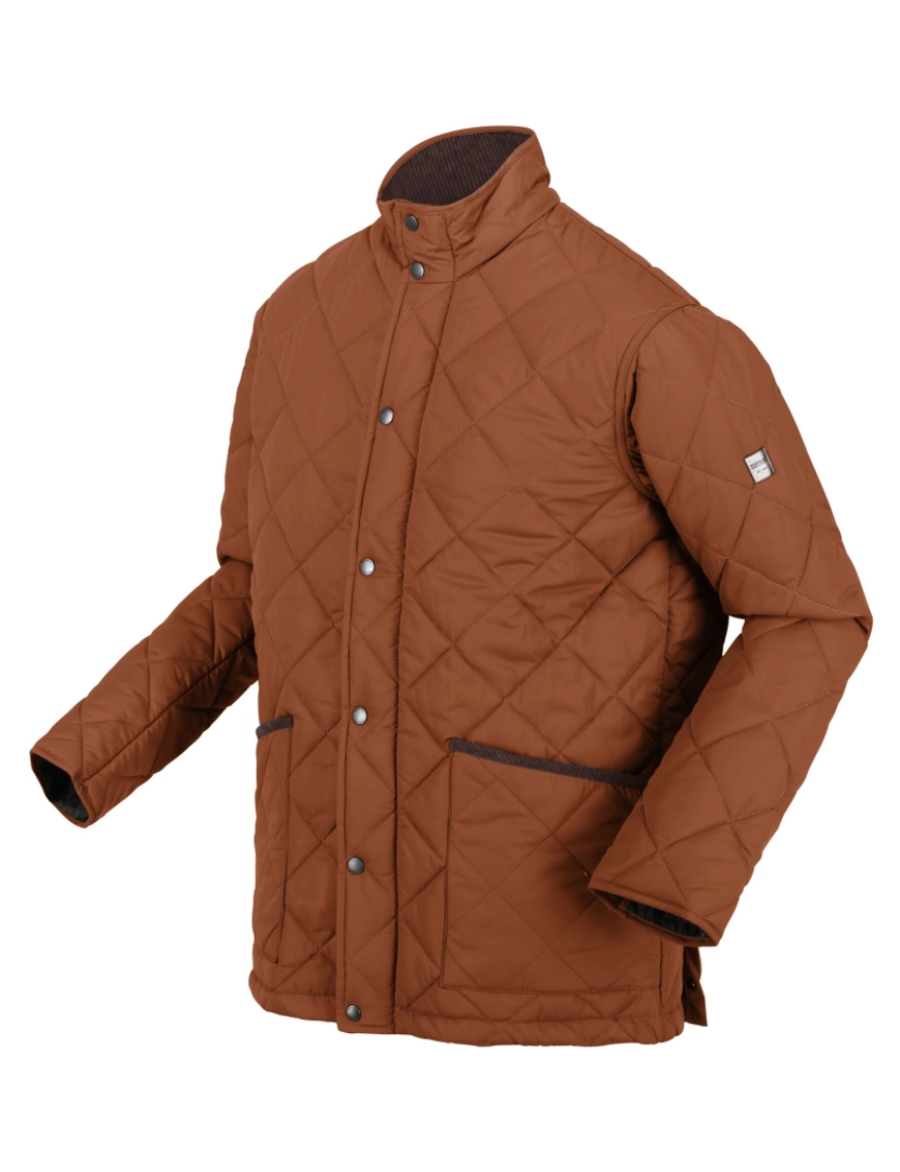 imagem de Regatta Mens Londyn Quilted casaco isolado4