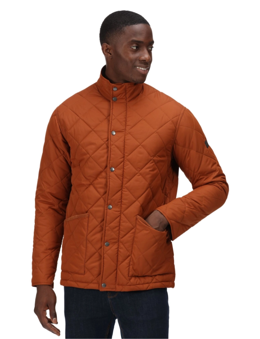 imagem de Regatta Mens Londyn Quilted casaco isolado5