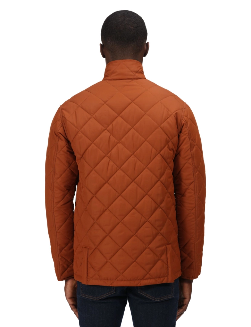 imagem de Regatta Mens Londyn Quilted casaco isolado6