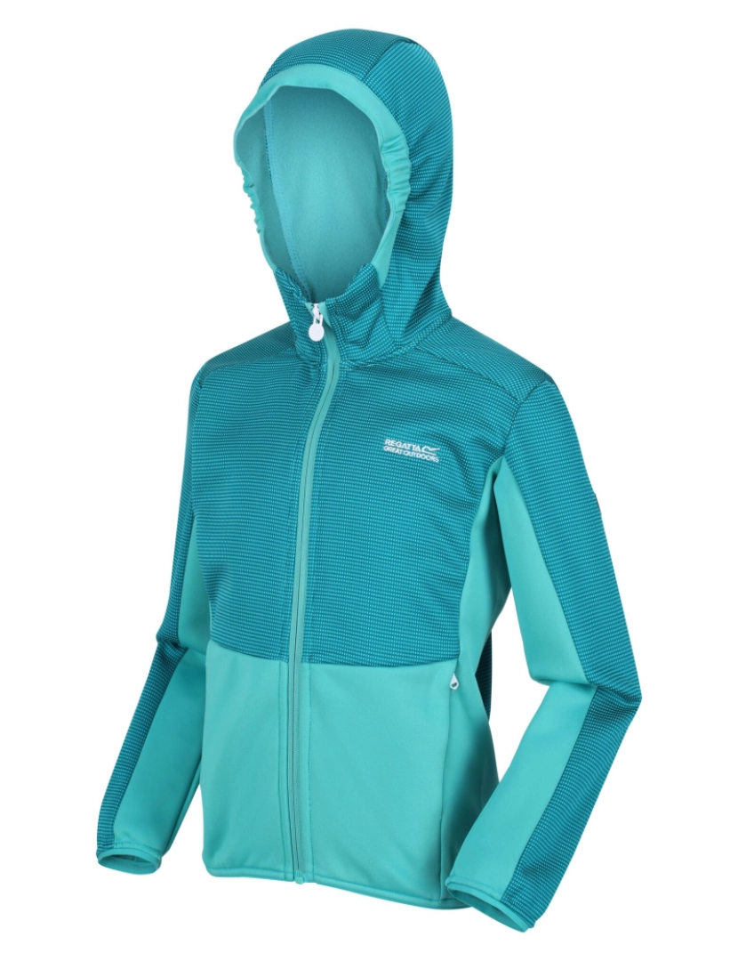 imagem de Regatta Crianças/Kids Highton Full Zip Fleece Jacket4