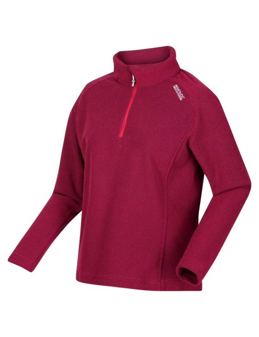 imagem de Regatta Womens/Ladies Kenger Ii Quarter Zip Fleece Top3