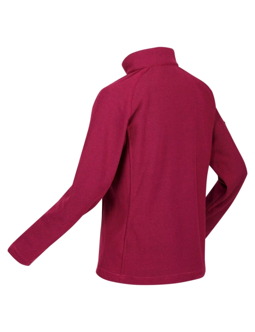 imagem de Regatta Womens/Ladies Kenger Ii Quarter Zip Fleece Top4