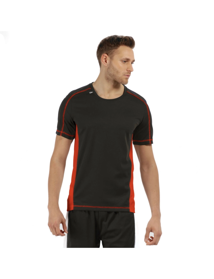 imagem de Regatta Activewear Mens Pequim manga curta T-shirt2